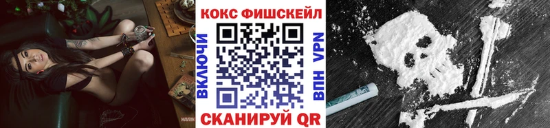 КОКАИН FishScale  Купить закладки  Сенгилей 