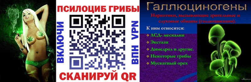 Купить закладки  Сенгилей  Псилоцибиновые грибы прущие грибы 